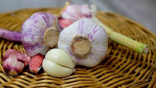 Запах чеснока в квартире. Чем вывести запах чеснока на кухне