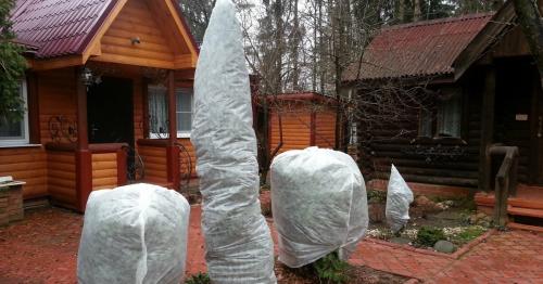 Как укрыть маленькую елочку на зиму. Хвойные и зимовка –, что накрываем, а что нет 13