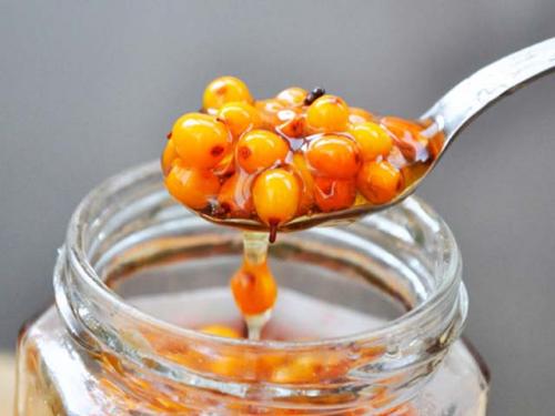 Что можно приготовить из облепихи на зиму. Облепиха на зиму — 8 лучших рецептов приготовления