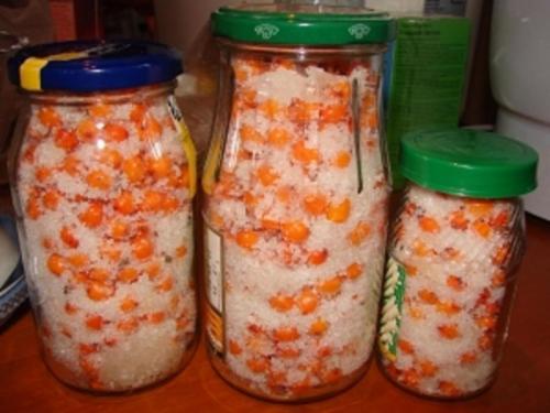 Какие заготовки на зиму можно сделать из облепихи. Облепиха на зиму: 7 лучших рецептов приготовления