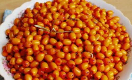 Желе из облепихи – 4 пошаговых рецепта на зиму