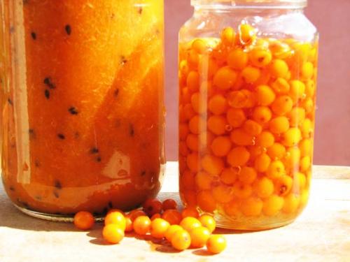 Что можно приготовить из облепихи на зиму. Облепиха на зиму — 8 лучших рецептов приготовления