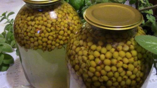 Компот из облепихи замороженной, свежей. Рецепты на зиму с яблоками, кабачками, апельсином, лимоном