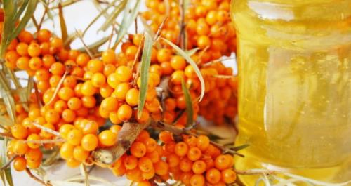 Компот из облепихи замороженной, свежей. Рецепты на зиму с яблоками, кабачками, апельсином, лимоном