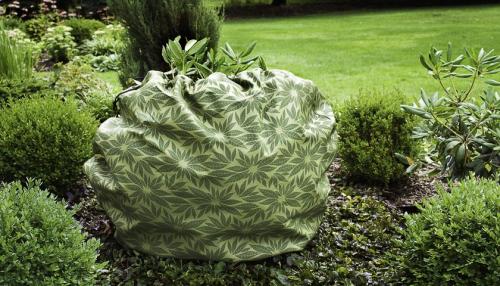 Ель уход осенью подготовка к зиме. Этапы подготовки хвойных растений к зиме 10 Ель уход осенью подготовка к зиме. Этапы подготовки хвойных растений к зиме 10