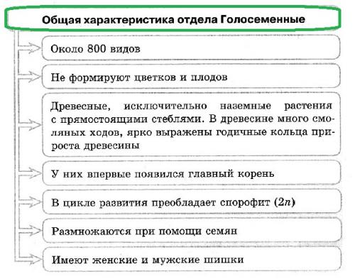 Первые растения на суше были голосеменные. Голосеменные