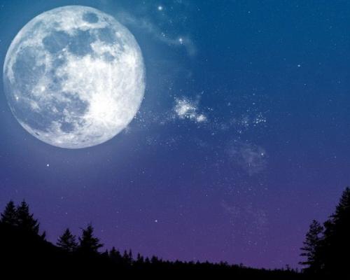 Размножение гортензии черенками в домашних условиях. Когда черенковать гортензию летом: оптимальные сроки