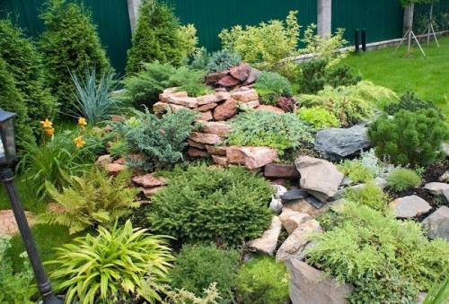 Как помочь хвойным пережить зиму.  Обработка от болезней и вредителей 05 Как помочь хвойным пережить зиму.  Обработка от болезней и вредителей 05