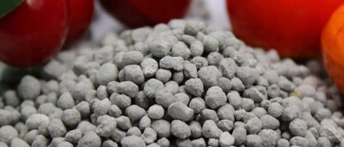 Суперфосфат формула. Суперфосфат: удобрение, применение на огороде и саду