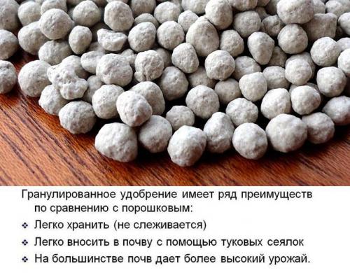 Суперфосфат состав в процентах. Виды