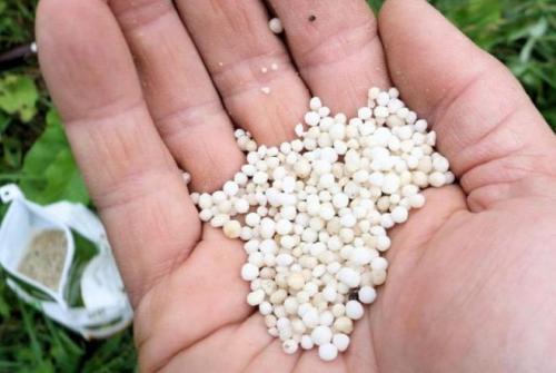 Как разводить мочевину для опрыскивания осенью. Осенняя обработка сада мочевиной