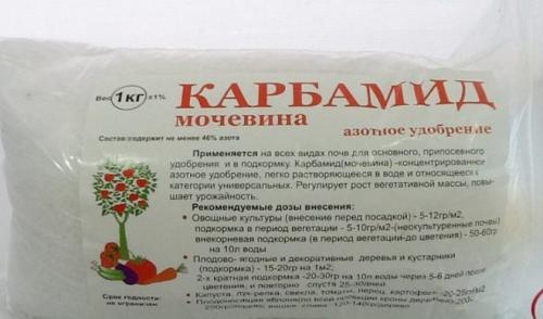Как разводить мочевину для опрыскивания осенью. Осенняя обработка сада мочевиной