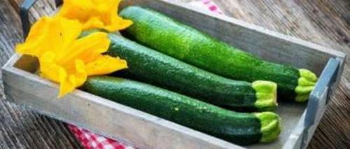 Как зимует топинамбур. Как сохранить топинамбур свежим на всю зиму в домашних условиях