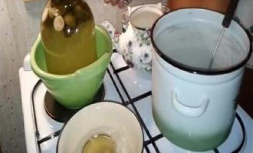 Фейхоа когда сезон. Сезон фейхоа: польза и способы приготовления 07