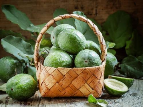 Фейхоа когда сезон. Сезон фейхоа: польза и способы приготовления 03