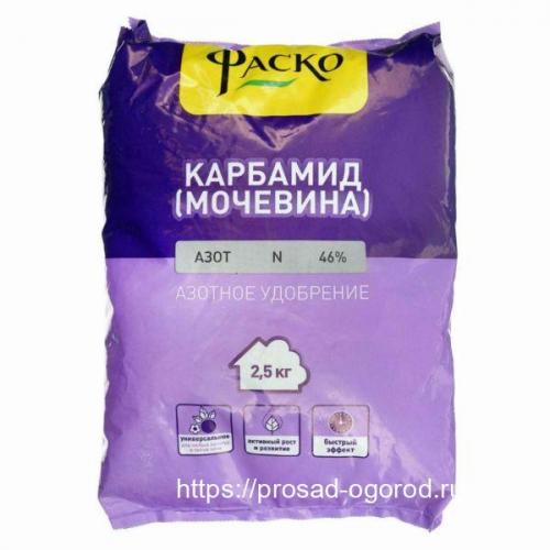 Сроки внесения азотных удобрений. Когда и сколько раз вносить азотные удобрения в саду