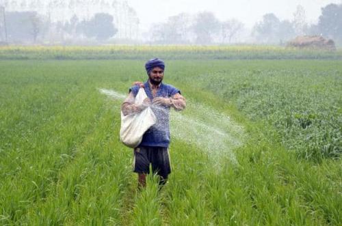 Подкормка и обработка яблонь карбамидом. Рецепты и особенности 06 Подкормка и обработка яблонь карбамидом. Рецепты и особенности 06