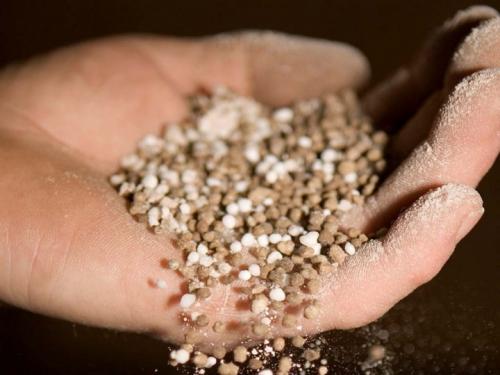 Фосфорно-калийные удобрения для плодовых деревьев. Нормы внесения минеральных удобрений под плодовые деревья