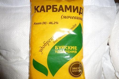 Обработка сада весной мочевиной. Сроки проведения обработки сада мочевиной с медным купоросом весной