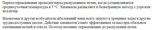 Мочевина для опрыскивания деревьев весной. Разберем более подробно