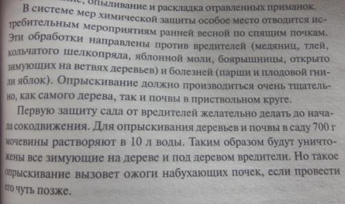 Мочевина для опрыскивания деревьев весной. Разберем более подробно