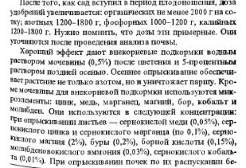 Мочевина для опрыскивания деревьев весной. Разберем более подробно