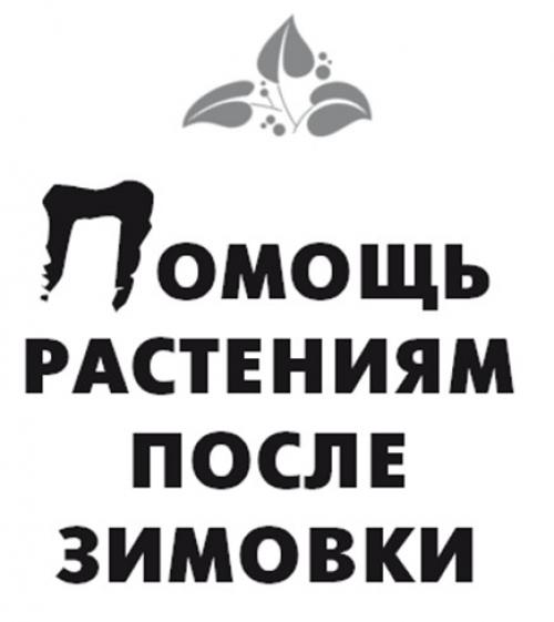 Мочевина для опрыскивания деревьев весной. Разберем более подробно