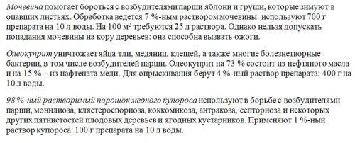 Мочевина для опрыскивания деревьев весной. Разберем более подробно