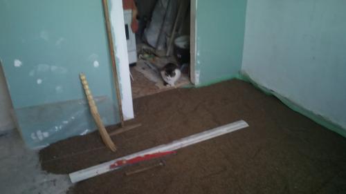 Выравнивание пола песком с цементом. Как сделать цементно-песчаную стяжку. 09 Выравнивание пола песком с цементом. Как сделать цементно-песчаную стяжку. 09