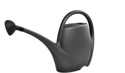 Как поливать декабрист в домашних условиях правильно. Полив во время цветения 06