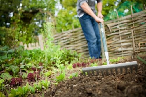ЛУННЫЙ ПОСЕВНОЙ календарь на май 2019 года садовода и огородника. Благоприятные и неблагоприятные дни в мае 2019 08