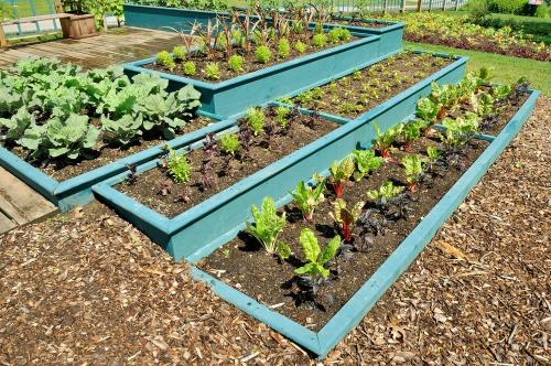 ЛУННЫЙ ПОСЕВНОЙ календарь на май 2019 года садовода и огородника. Благоприятные и неблагоприятные дни в мае 2019 02