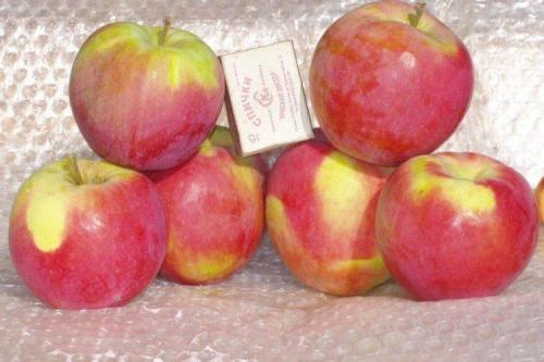 Твердые сорта яблок. Зеленые яблоки: лучшие сорта с названиями и фото (каталог)