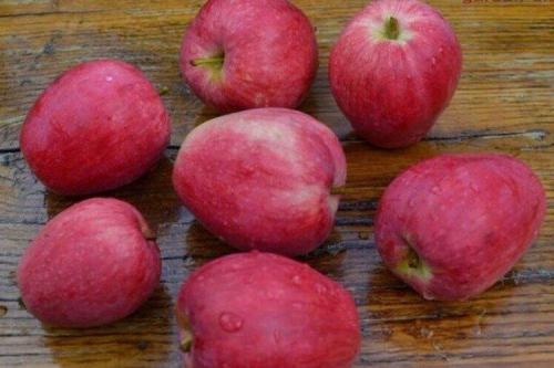 Какие яблоки самые вкусные. Лучшие сорта яблок: фото, названия и описания (каталог)