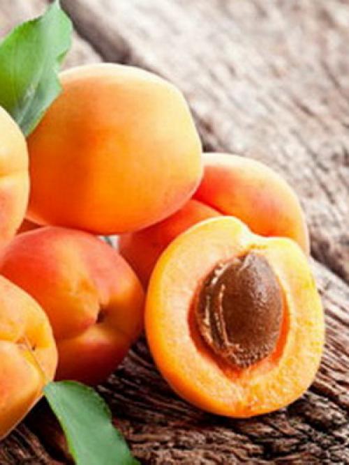 Лучшие сорта абрикоса. Виды абрикосов 04