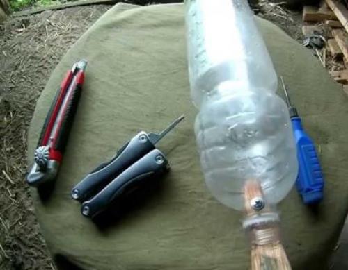 Когда созревает вишня. Сбор урожая