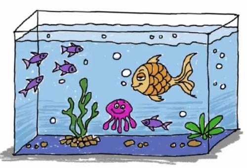 АКВАРИУМ рисунок. Прямоугольный АКВАРИУМ с рыбами