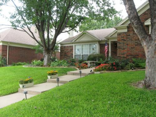 Какие деревья можно сажать возле дома а какие нельзя. Деревья возле дома — виды которые можно и нельзя сажать. 100 фото лучших вариантов для посадки