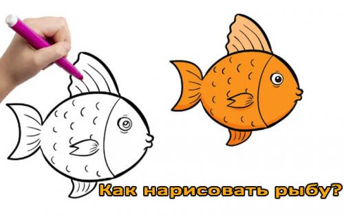 Как нарисовать рыбу на тарелке. Как нарисовать рыбу карандашом поэтапно для начинающих?