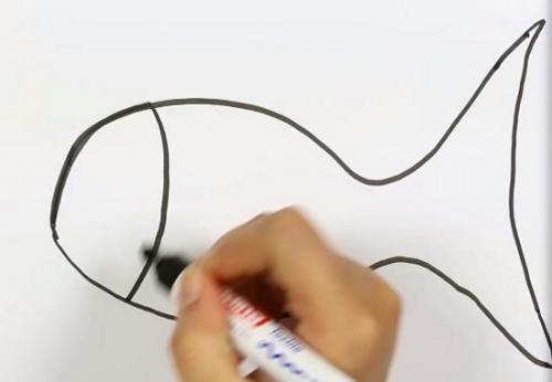 Рисунки рыбы для срисовки помогут детям научиться рисовать. Рыба рисунок для детей поэтапно карандашом