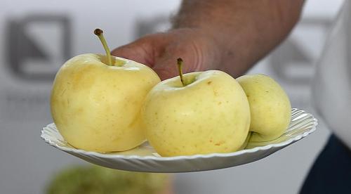 Сорта летних яблонь. Добавление статьи в новую подборку 09