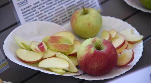 Сорта летних яблонь. Добавление статьи в новую подборку 10