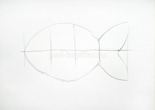 Как нарисовать рыбку карандашом. Как нарисовать рыбу карандашом поэтапно для начинающих? 09