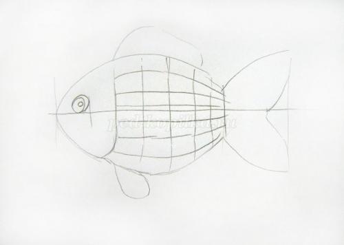 Как нарисовать рыбку карандашом. Как нарисовать рыбу карандашом поэтапно для начинающих? 11
