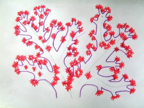 Как нарисовать водоросли. Морское дно рисунок — актиния и кораллы