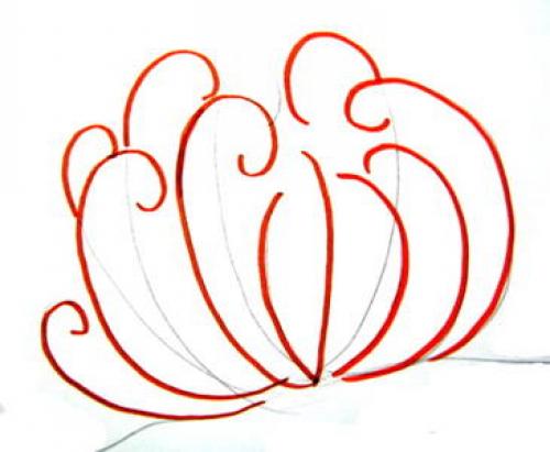 Как нарисовать водоросли. Морское дно рисунок — актиния и кораллы