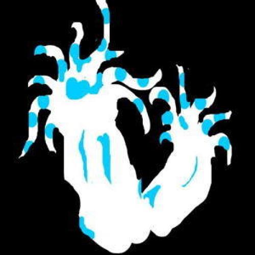 Как нарисовать водоросли. Морское дно рисунок — актиния и кораллы