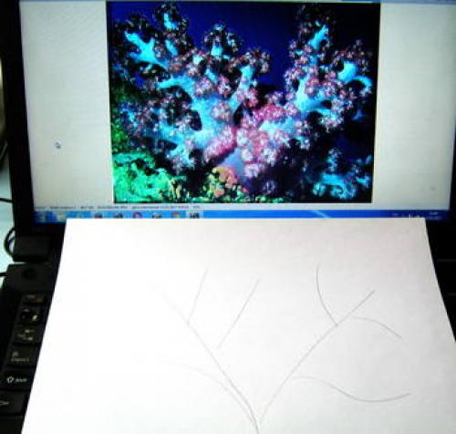 Как нарисовать водоросли. Морское дно рисунок — актиния и кораллы