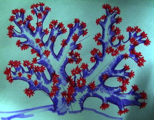 Как нарисовать водоросли. Морское дно рисунок — актиния и кораллы