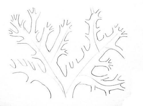 Как нарисовать водоросли. Морское дно рисунок — актиния и кораллы